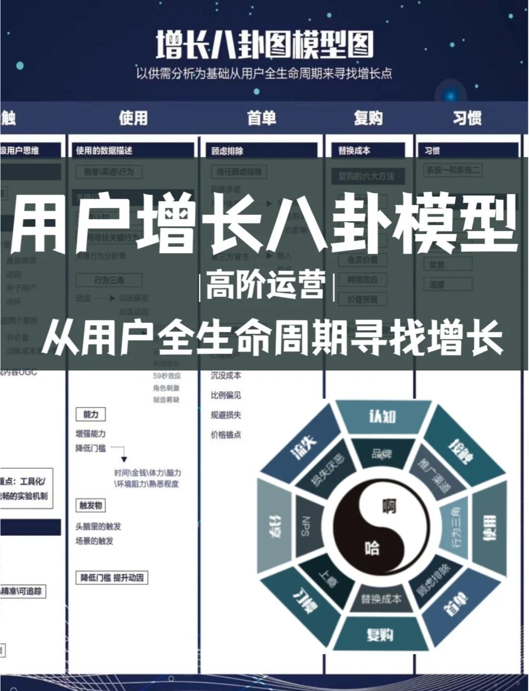 资本路径规划增长(资本化道路什么意思)新星市