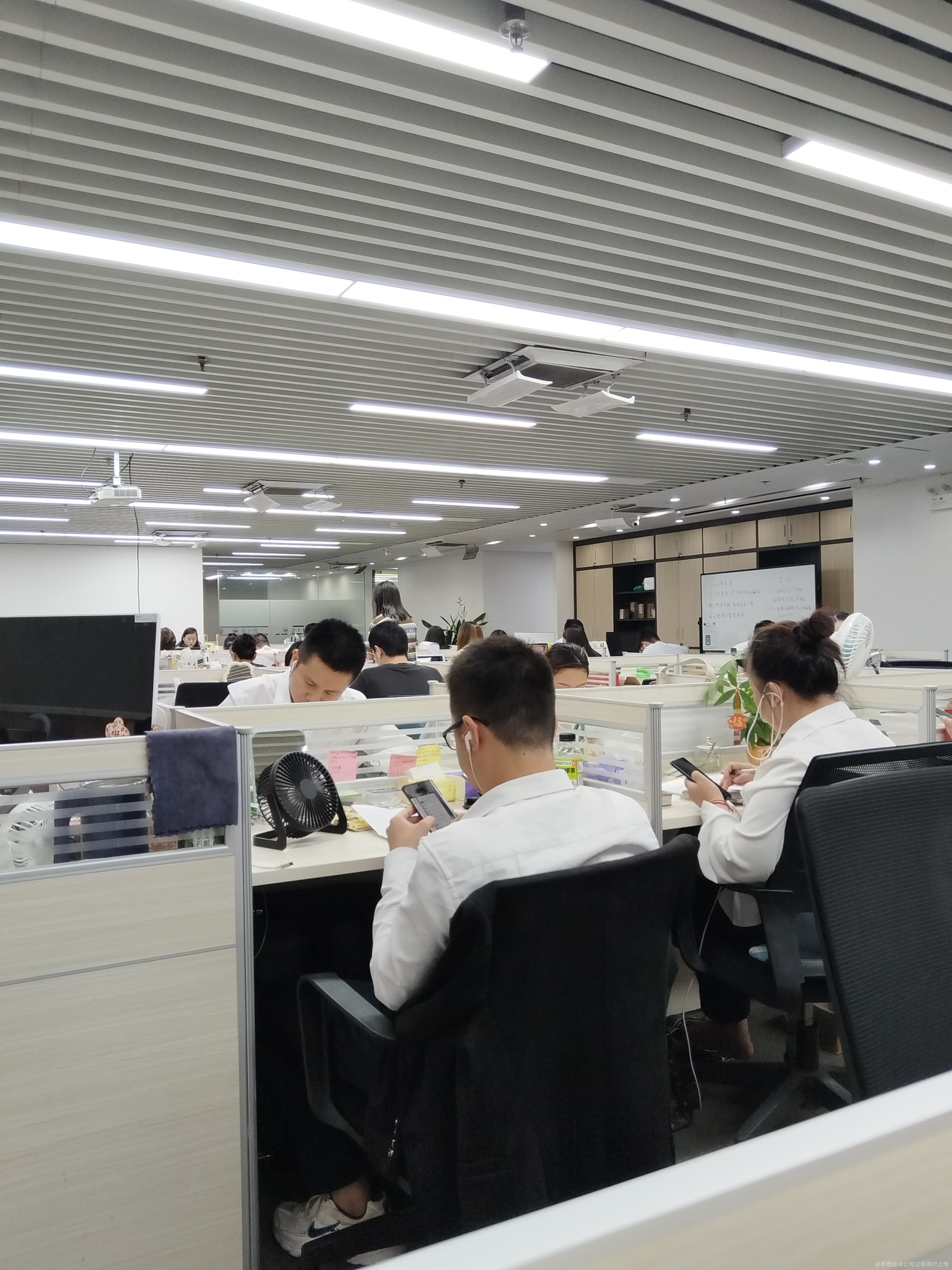融资顾问风险评估(融资顾问风险评估报告)新星市