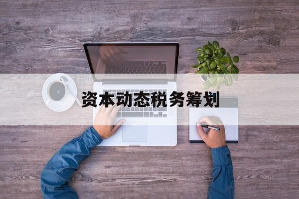 资本动态税务筹划(资本动态税务筹划案例)新星市