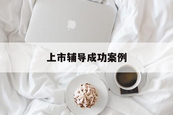 上市辅导成功案例(上市辅导成功后肯定会上市吗)新星市